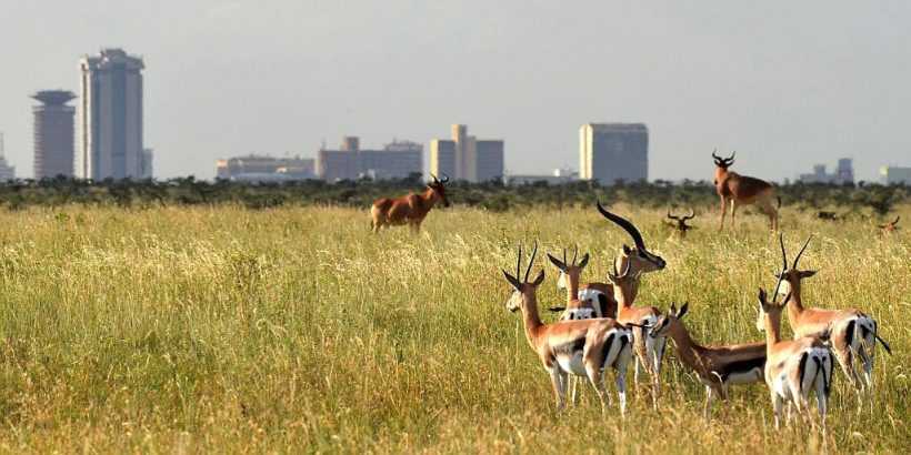 The-Nairobi-National-Park