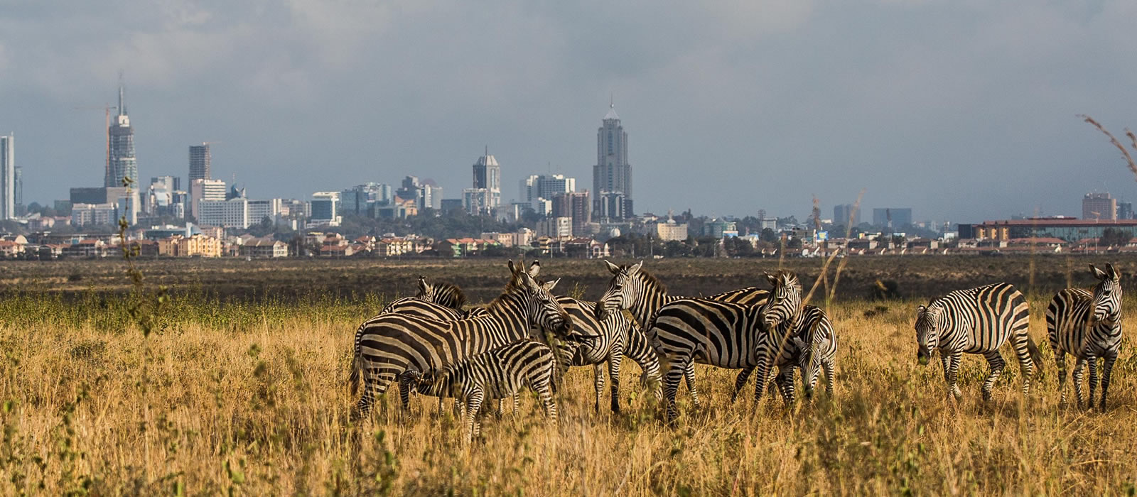 Nairobi National Park - Fortune Tide Tours & Travel